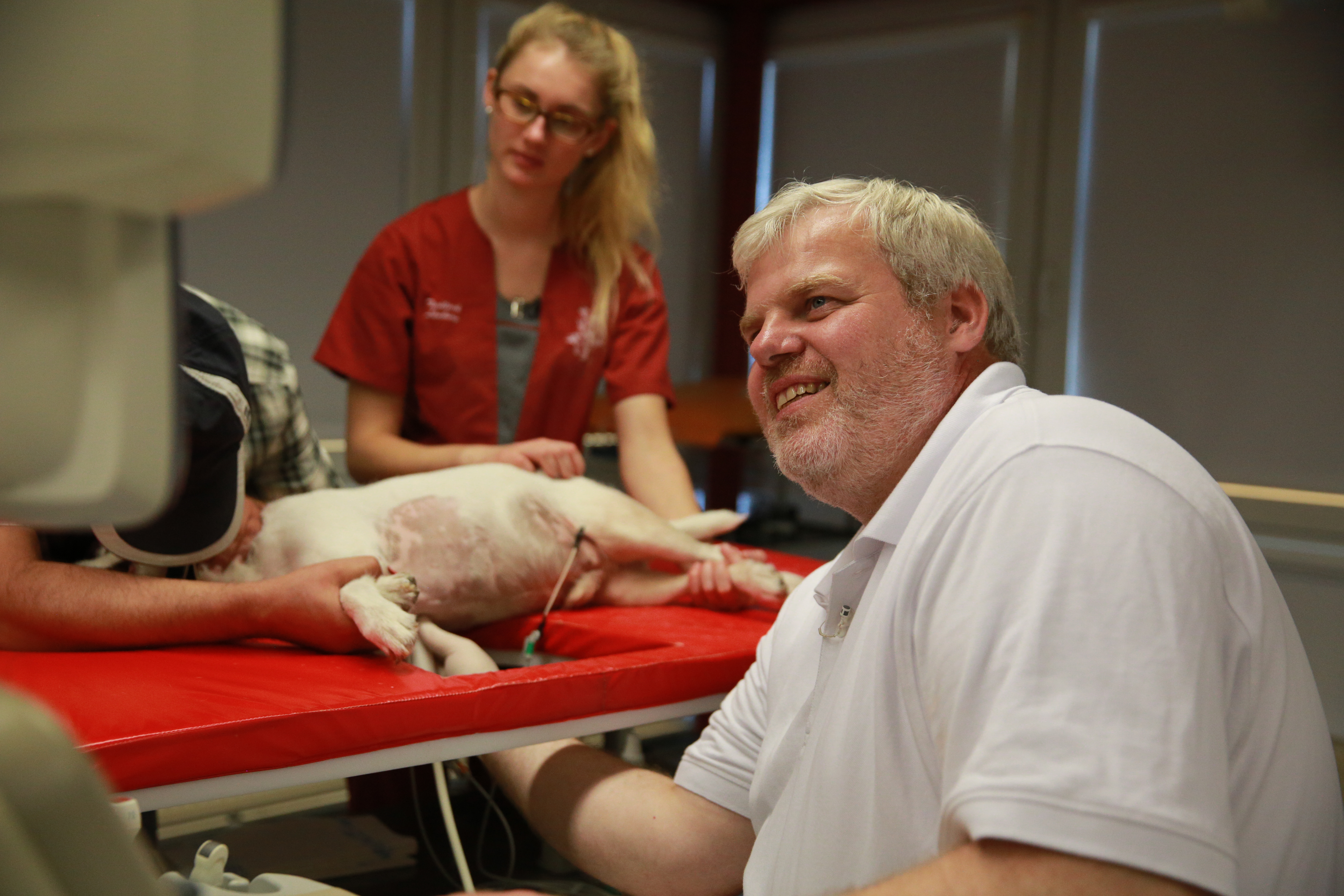 Die Tierklinik Lüneburg
